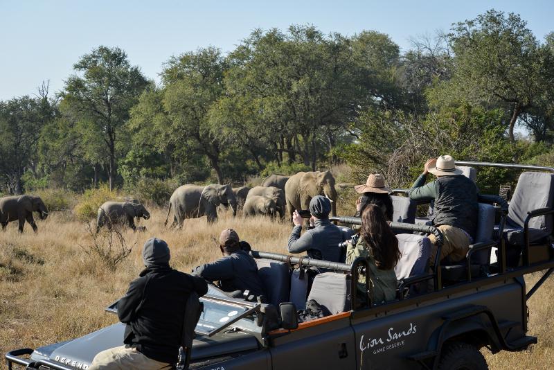 Lion Sands River Lodge Riserva di Sabi Sand Esterno foto